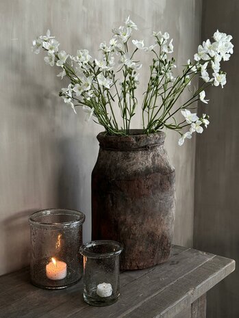 Larkspur Spray