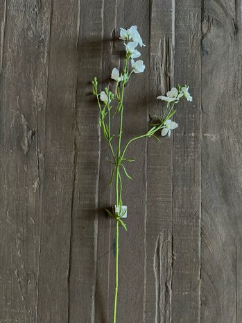 Larkspur Spray
