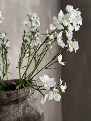 Larkspur Spray