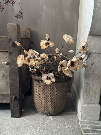 Poppy Bundle Twist Off White Brynxz | Zijden klaproos off white Brynxz 