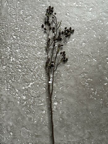Elzentak | Catkins spray kunsttak