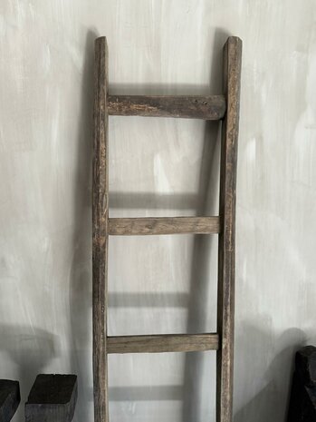 Ladder Driftwood | Ladder oud hout B (afhalen)