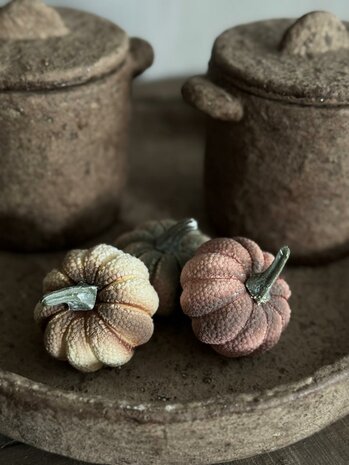 Pumpkin Pepita | Pompoen mini's (6 stuks)