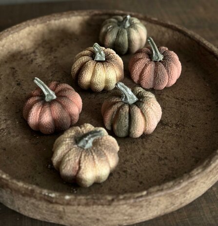 Pumpkin Pepita | Pompoen mini's (6 stuks)