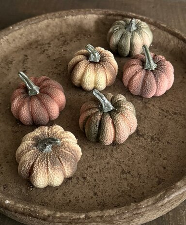 Pumpkin Pepita | Pompoen mini's (6 stuks)