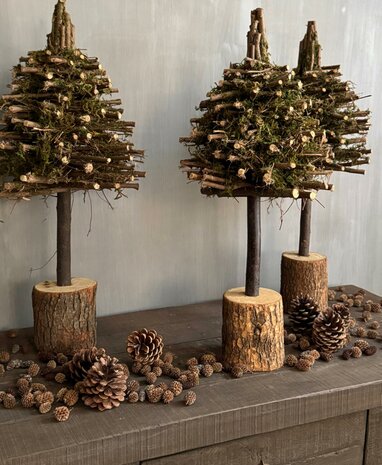 Kerstboom mos (afhalen)