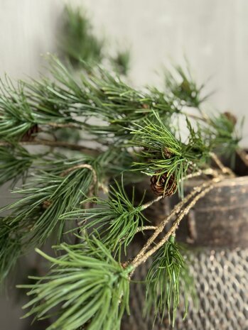 Pinus Dennen kunsttak
