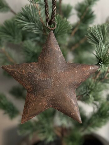 Metalen kerst ster Ravi roest 15cm