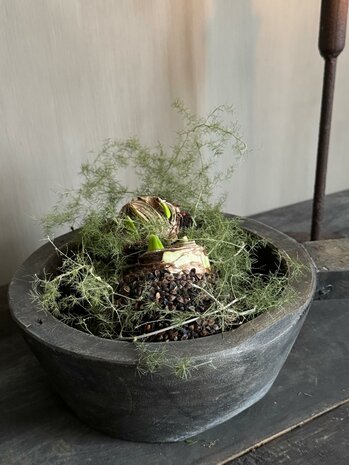 Houten schaal met handvat L