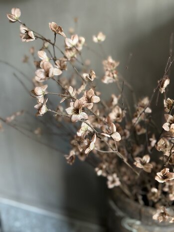 Cornus kunsttak bruin