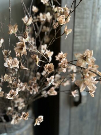 Cornus kunsttak bruin