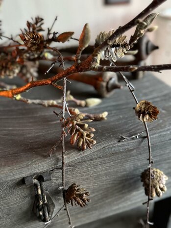 Kunsttak met dennenappeltjes